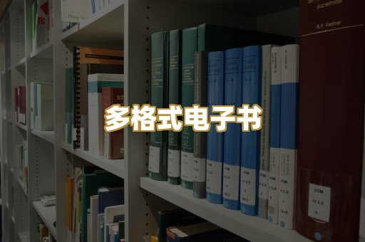 多格式电子书